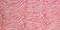 Pink-Pale Gray Zebra Printed Stretch Silk Jersey Knit Fabric By the Yard